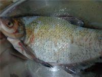 清蒸武昌鱼的做法步骤1