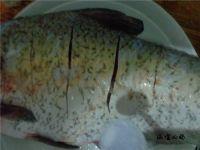 清蒸武昌鱼的做法步骤3