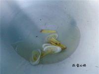 肉丝炒豆角的做法步骤6