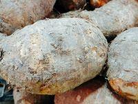 芋香西米露的做法步骤1