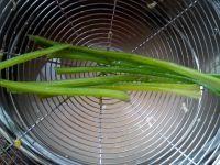 黑芝麻鸡蛋卷的做法步骤7