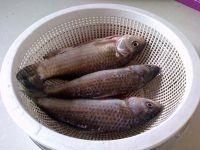 豆豉酥鱼的做法步骤1