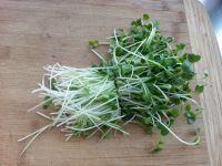 萝卜苗鸡蛋汤的做法步骤2