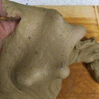 汤种黑麦核桃面包的做法步骤6