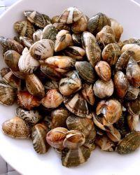 蚬子焖茄子的做法步骤4