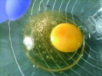 蒲公英蛋糊饼的做法步骤2