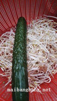 凉皮的做法步骤21