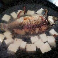 鲫鱼豆腐汤的做法步骤6