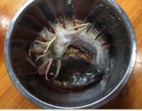 清蒸剑鱼的做法步骤1