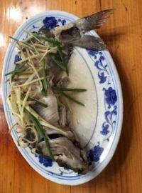 清蒸剑鱼的做法步骤3