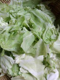 手撕包菜的做法步骤1