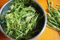 凉拌丝瓜尖的做法步骤1