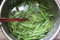 凉拌丝瓜尖的做法步骤4