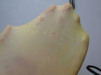 蛋黄吐司的做法步骤2