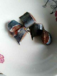 青椒烧野生鲶鱼的做法步骤2