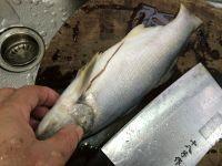 豉油皇蒸马友鱼的做法步骤2