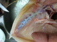 豉油皇蒸马友鱼的做法步骤4