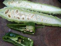 苦瓜炒青椒的做法步骤2