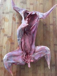 麻辣兔肉的做法步骤1