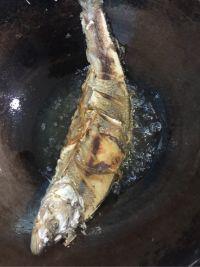 番茄鱼的做法步骤1