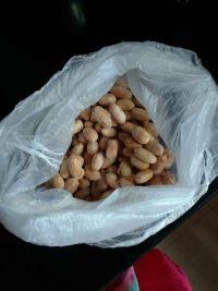 土豆花生烧牛肉的做法步骤8