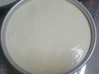 奶酪慕斯蛋糕的做法步骤14