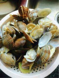 葱油花蛤的做法步骤1