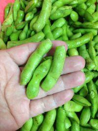 啤酒盐水毛豆的做法步骤2