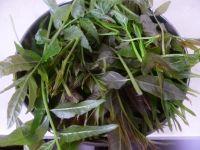 香椿摊鸡蛋的做法步骤1