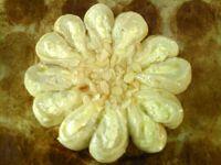 奶酪花环面包的做法步骤20