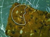 果干豆面饼的做法步骤12