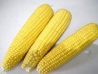 奥尔良烤玉米的做法步骤2