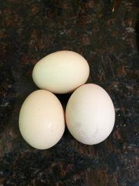 薯苗鸡蛋面的做法步骤2