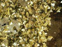 黄鱼煨面的做法步骤6