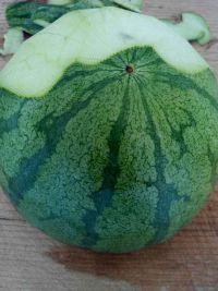 清炒西瓜皮的做法步骤1