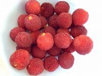 冰糖杨梅饮的做法步骤1