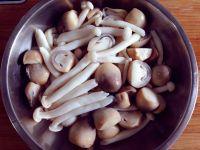 丸子鱼腐菌菇煲的做法步骤5