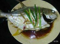 清蒸金枪鱼的做法步骤5