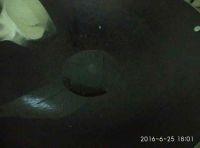 清蒸金枪鱼的做法步骤6