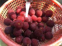 自制杨梅干的做法步骤1