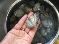 麻辣蚬子的做法步骤1