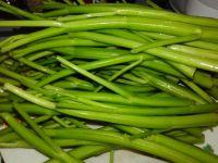 蚂蚁爱上绿树的做法步骤1