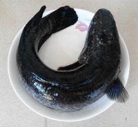 清炖鱼圆汤的做法步骤1