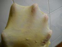 橘红蜂蜜面包卷的做法步骤3