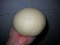 橘红蜂蜜面包卷的做法步骤5