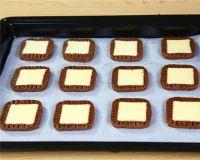 狮子造型饼干的做法步骤9