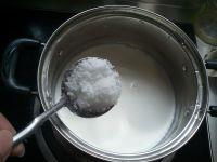 木瓜牛奶冻的做法步骤4