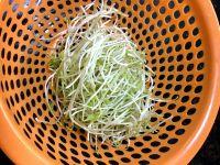 红豆苗云吞的做法步骤1