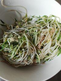 鸭血粉丝汤的做法步骤2