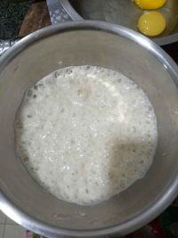 波兰种手撕餐包(猪油版)的做法步骤2